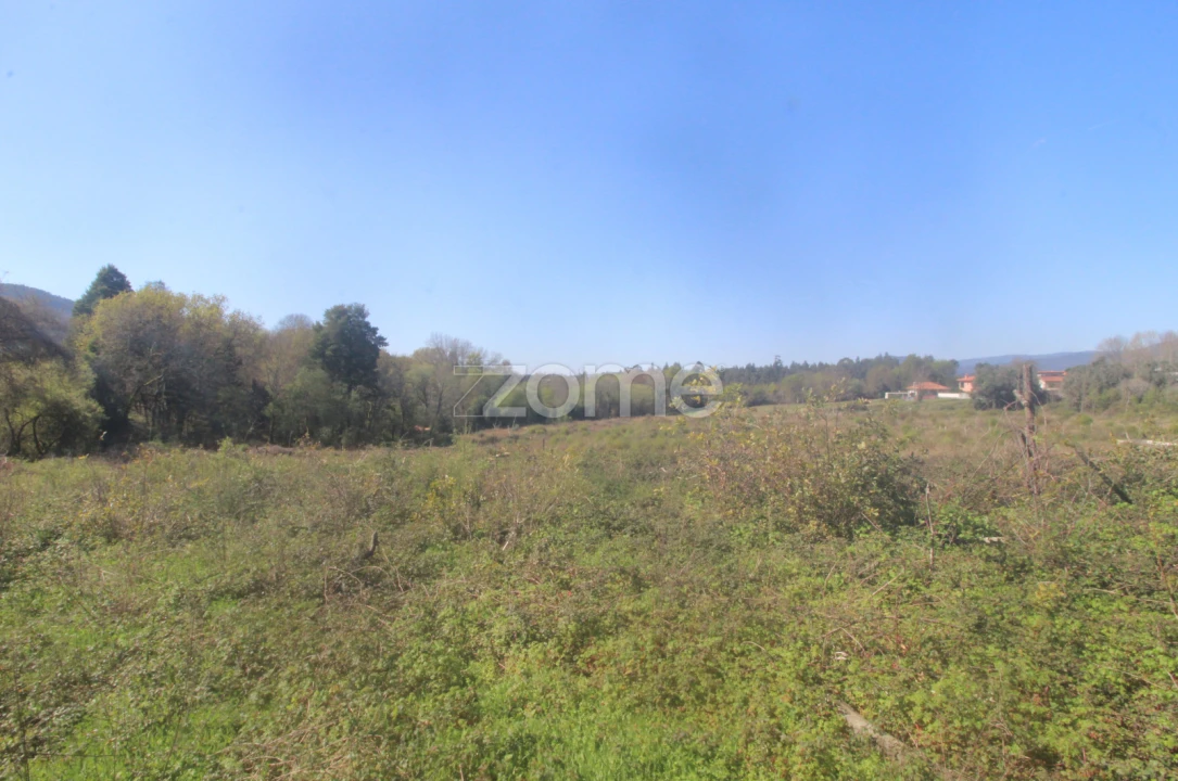 Terreno para Venda em Geraz do Lima (Santa Maria, Santa Leocádia, Moreira), Deão Foto 8