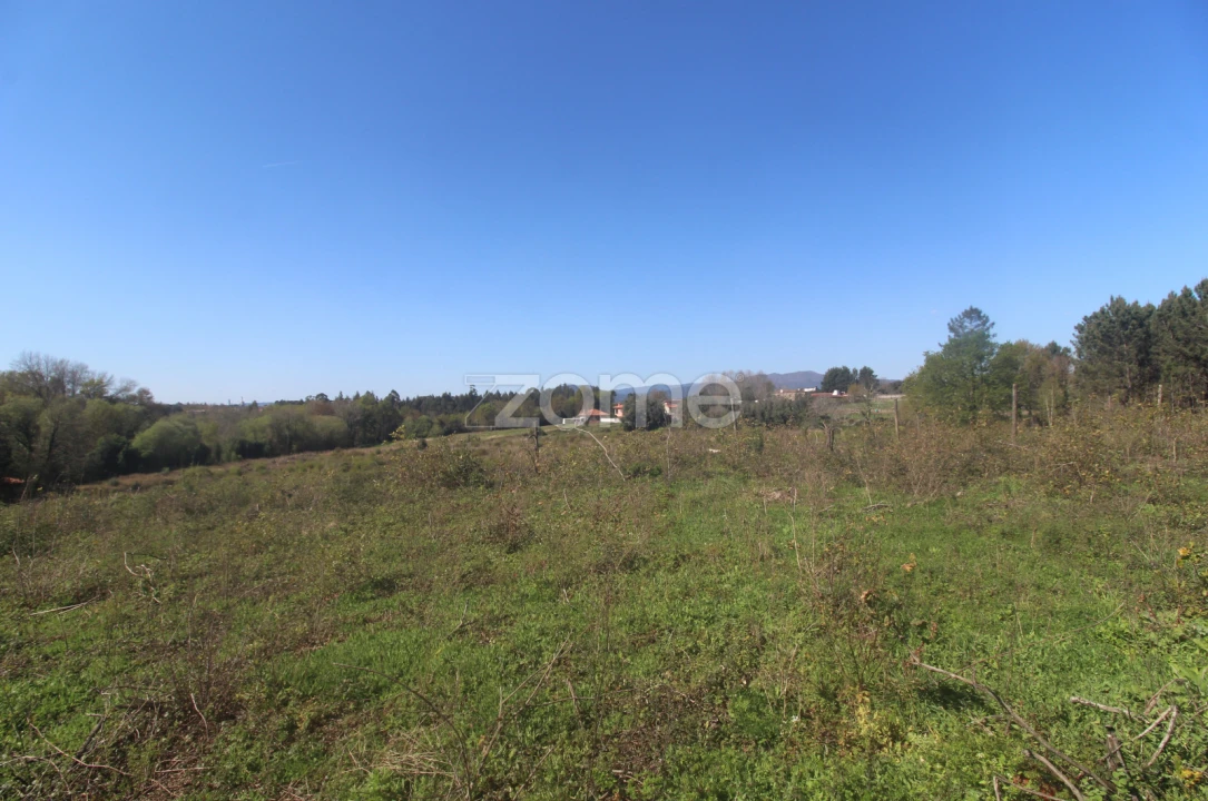 Terreno para Venda em Geraz do Lima (Santa Maria, Santa Leocádia, Moreira), Deão Foto 11