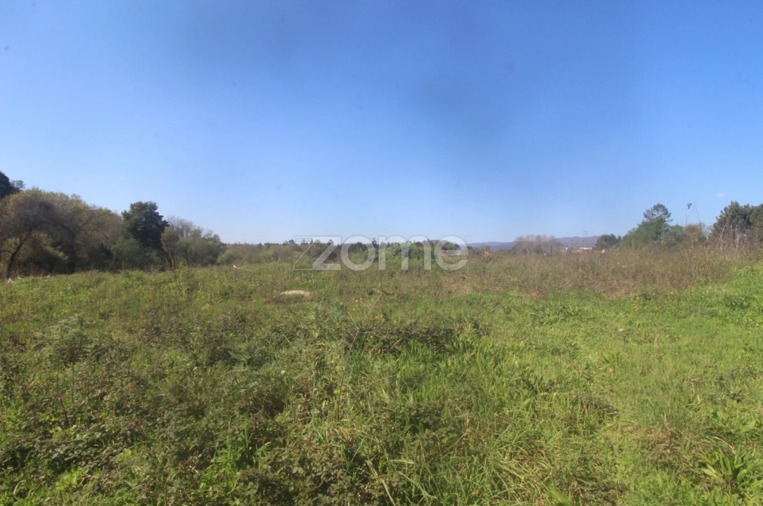 Terreno para Venda em Geraz do Lima (Santa Maria, Santa Leocádia, Moreira), Deão Foto 14