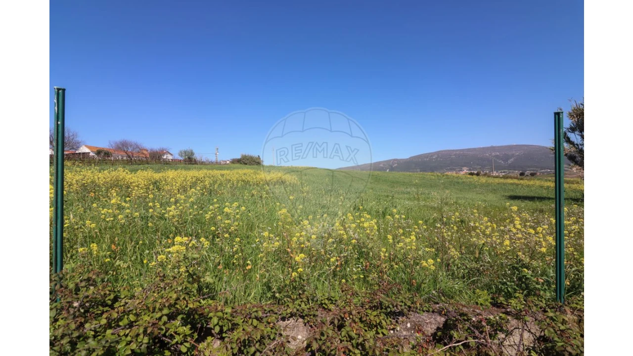 Terreno para Venda em Ventosa Foto 18