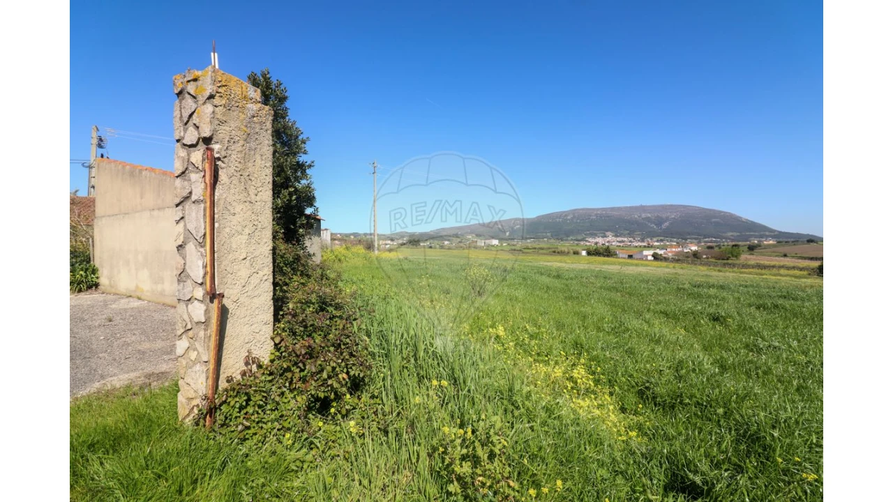 Terreno para Venda em Ventosa Foto 2