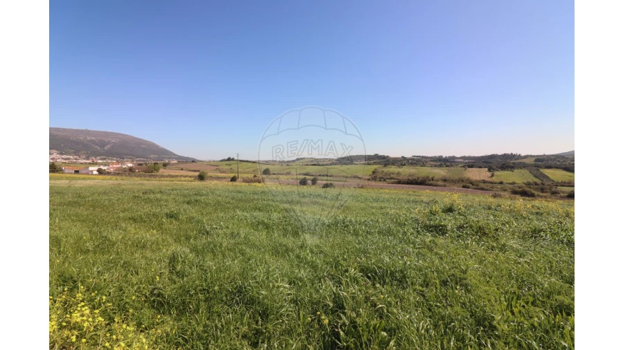 Terreno para Venda em Ventosa Foto 5