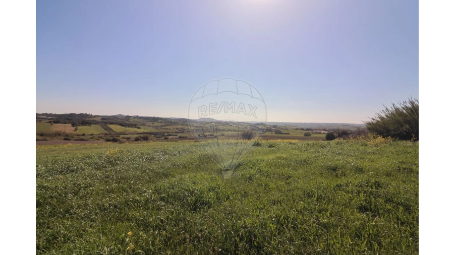 Terreno para Venda em Ventosa Foto 9