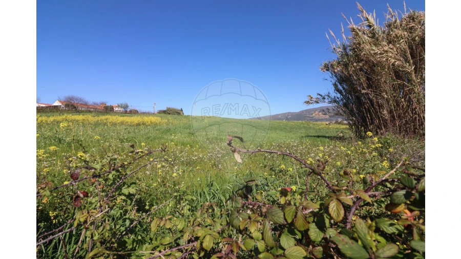 Terreno para Venda em Ventosa Foto 17