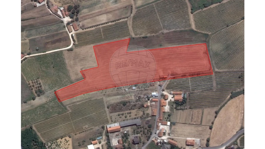 Terreno para Venda em Ventosa Foto 1