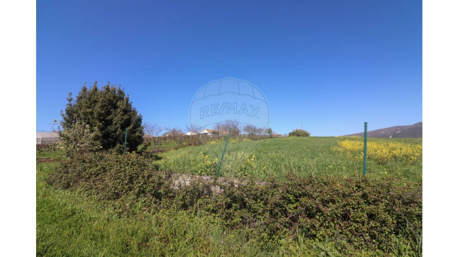 Terreno para Venda em Ventosa Foto 16