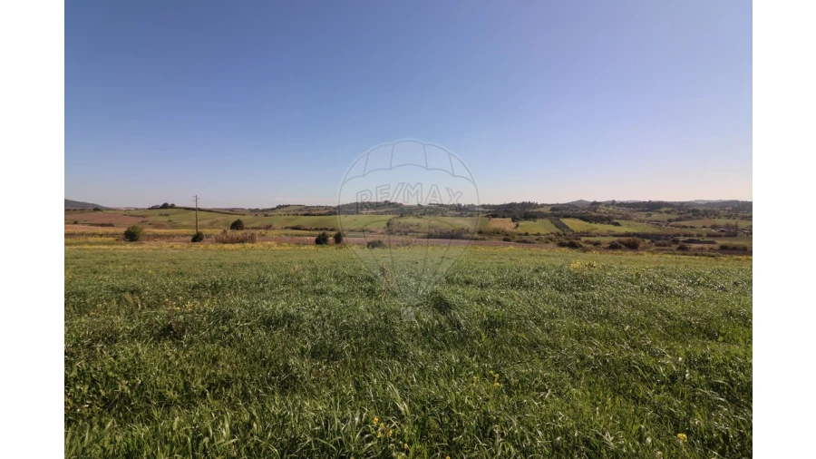 Terreno para Venda em Ventosa Foto 8