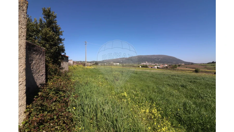 Terreno para Venda em Ventosa Foto 6