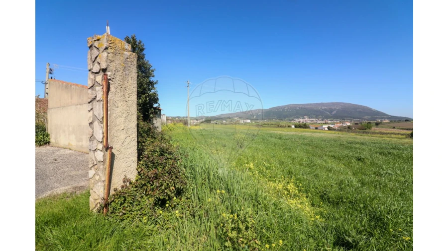 Terreno para Venda em Ventosa Foto 2