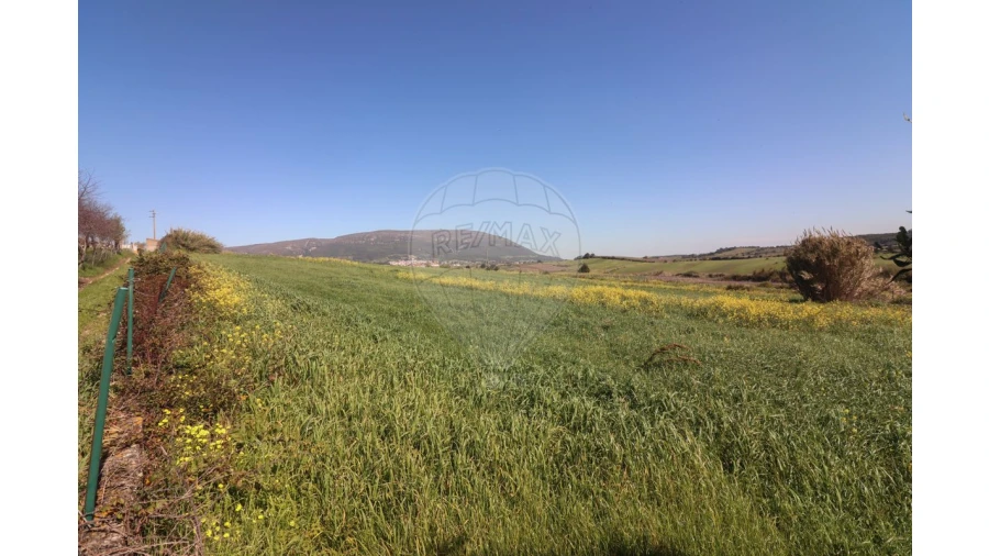 Terreno para Venda em Ventosa Foto 20