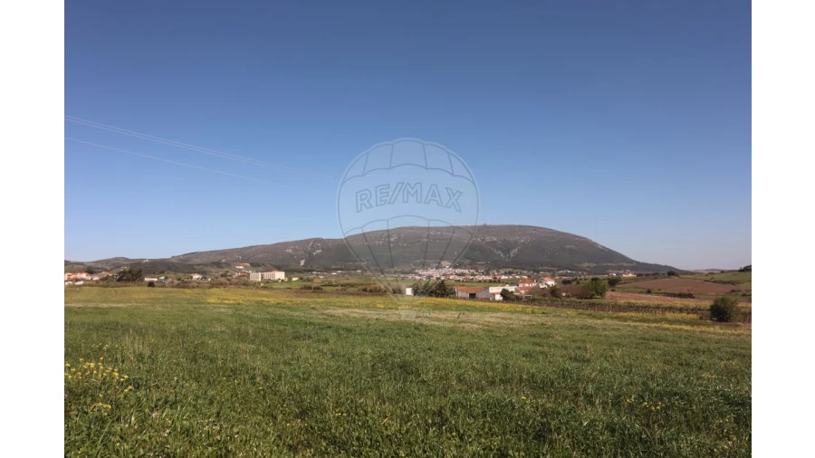 Terreno para Venda em Ventosa Foto 10