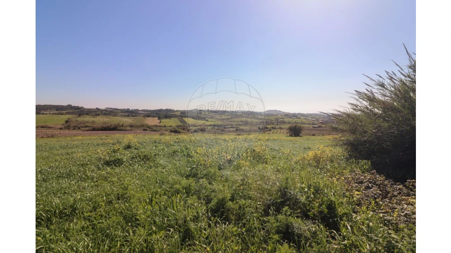 Terreno para Venda em Ventosa Foto 21