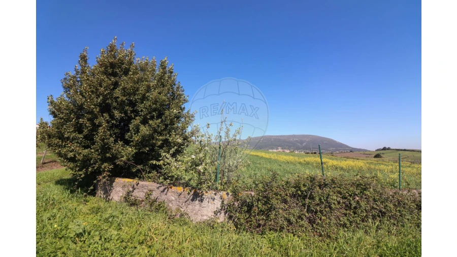 Terreno para Venda em Ventosa Foto 15