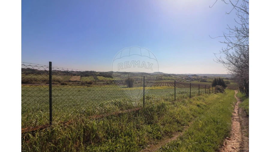 Terreno para Venda em Ventosa Foto 13