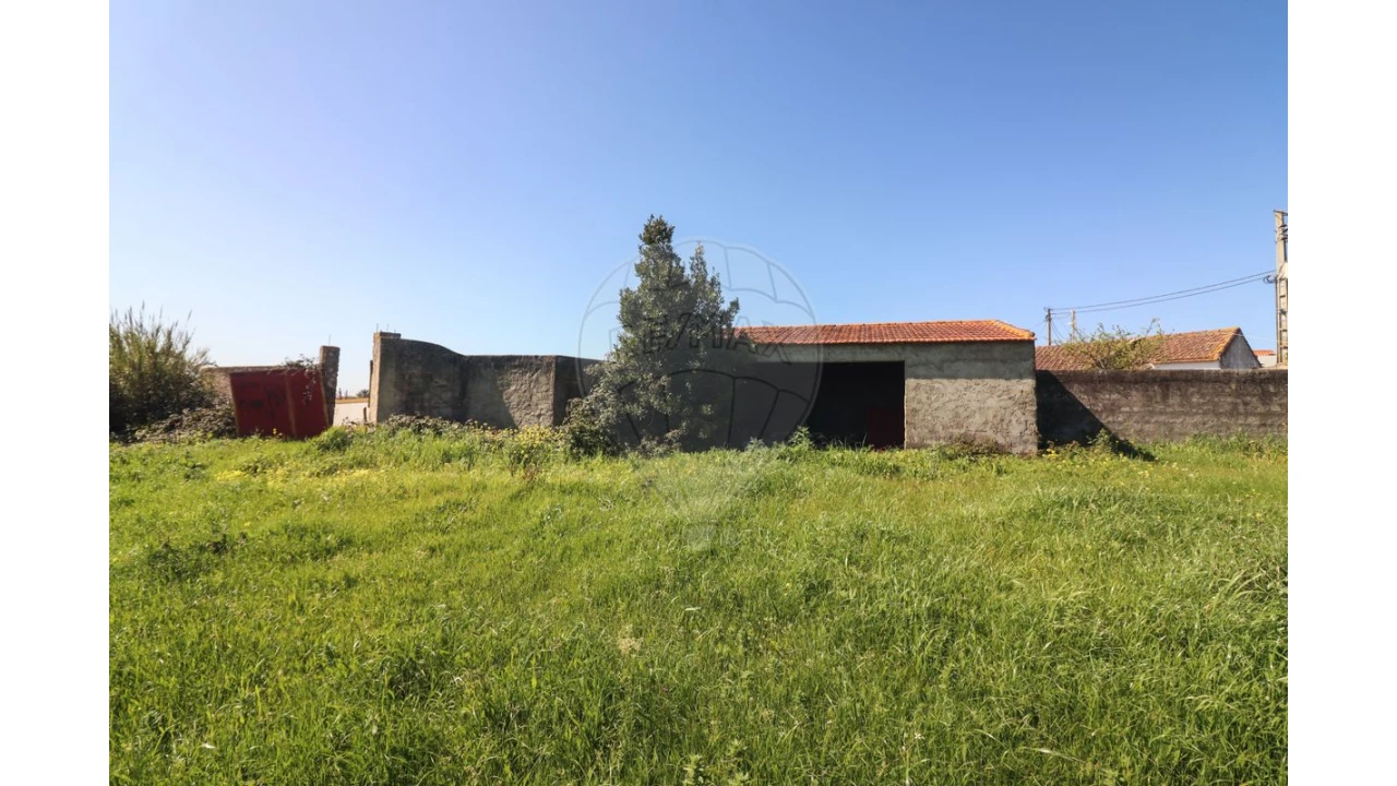 Terreno para Venda em Ventosa Foto 7