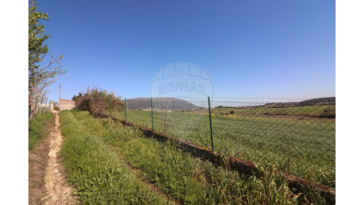 Terreno para Venda em Ventosa Foto 11