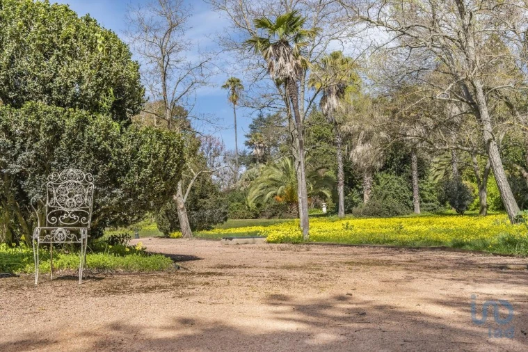Moradia T10 para Venda em Assunção, Ajuda, Salvador e Santo Ildefonso Foto 5