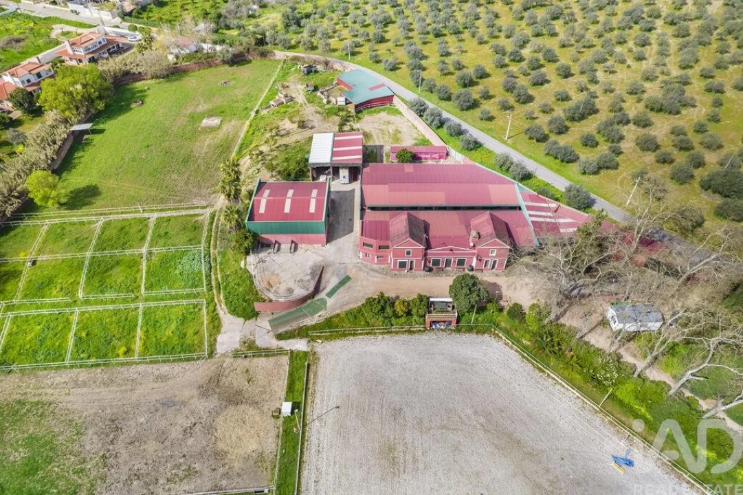 Moradia T10 para Venda em Assunção, Ajuda, Salvador e Santo Ildefonso Foto 29