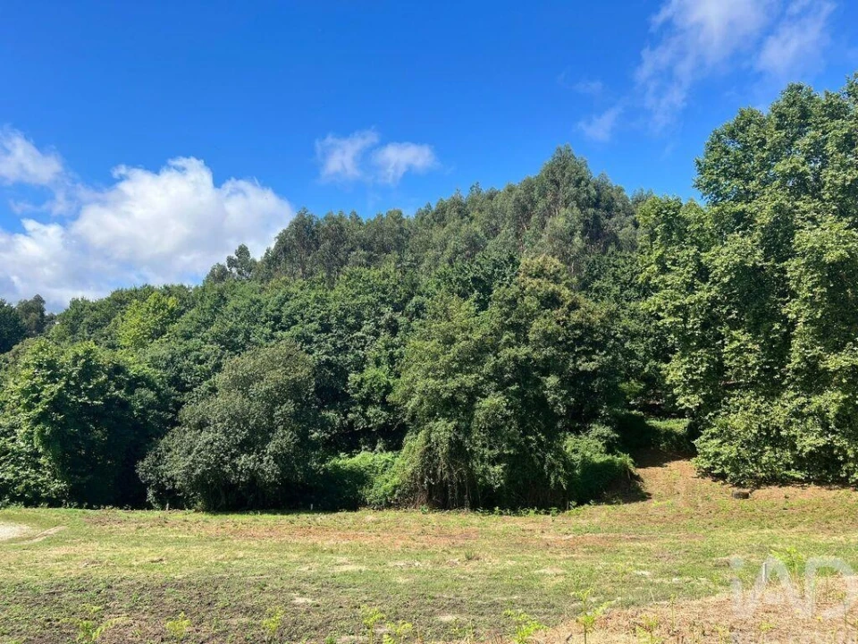 Terreno para Venda em Recezinhos (São Mamede) Foto 19