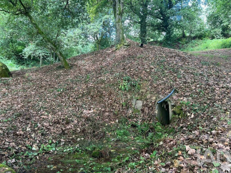 Terreno para Venda em Recezinhos (São Mamede) Foto 11