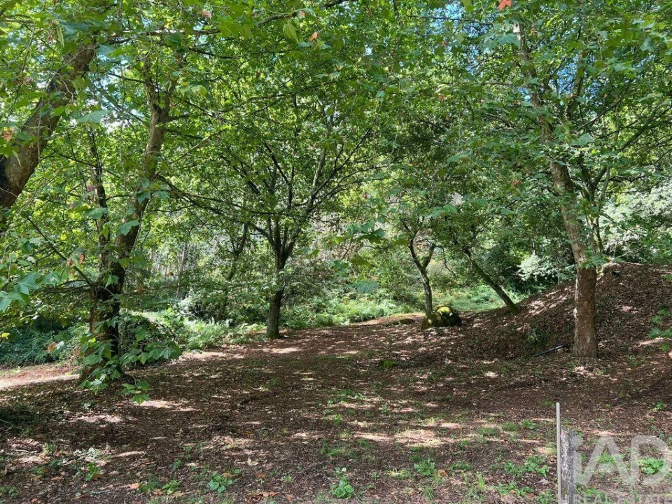 Terreno para Venda em Recezinhos (São Mamede) Foto 12