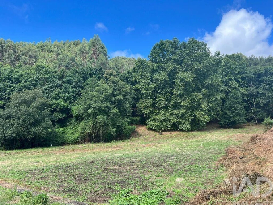 Terreno para Venda em Recezinhos (São Mamede) Foto 10