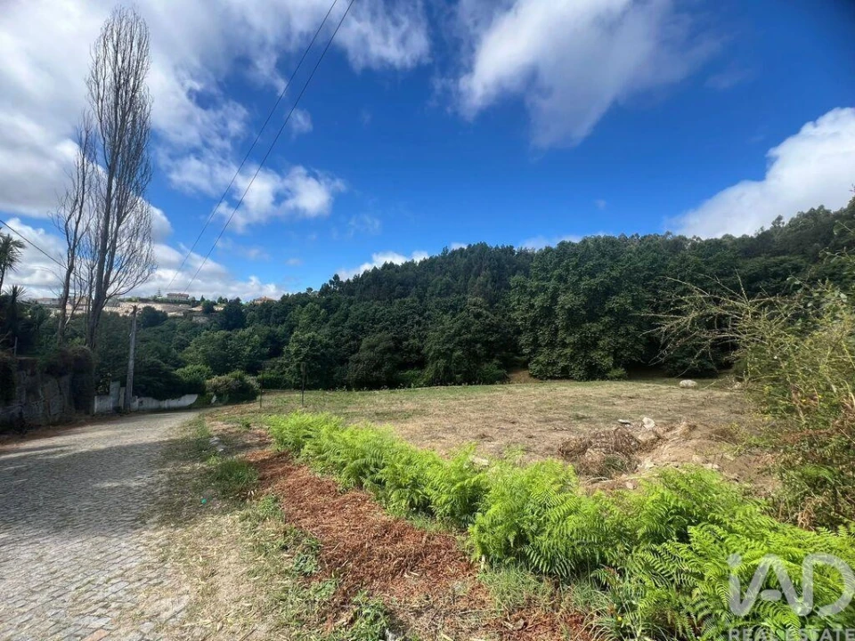 Terreno para Venda em Recezinhos (São Mamede) Foto 7