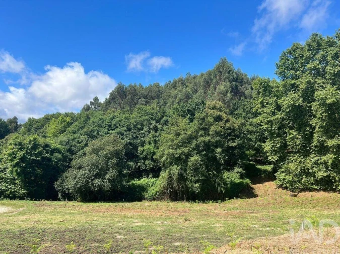 Terreno para Venda em Recezinhos (São Mamede) Foto 19