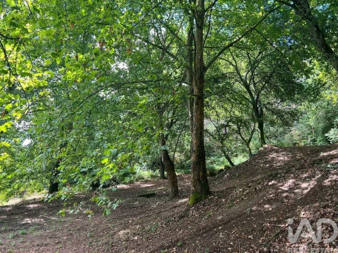 Terreno para Venda em Recezinhos (São Mamede) Foto 5