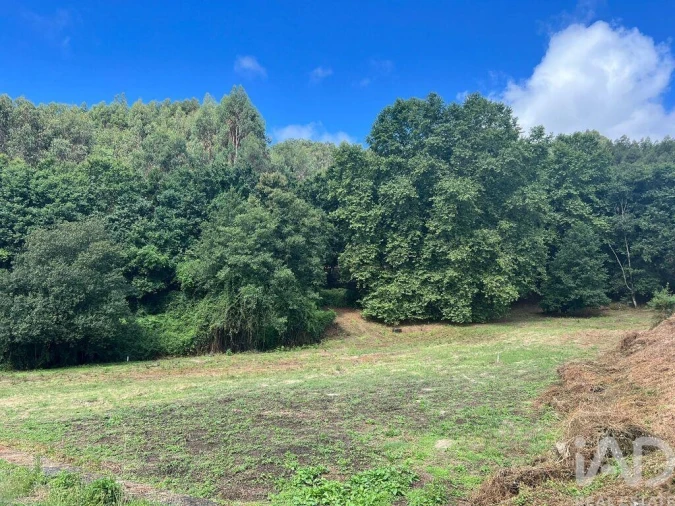 Terreno para Venda em Recezinhos (São Mamede) Foto 10