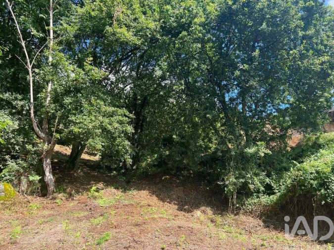 Terreno para Venda em Recezinhos (São Mamede) Foto 15