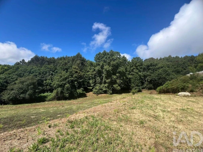 Terreno para Venda em Recezinhos (São Mamede) Foto 24