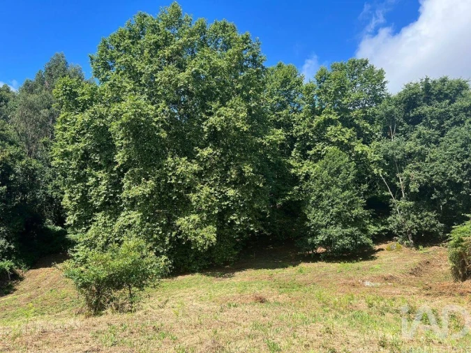 Terreno para Venda em Recezinhos (São Mamede) Foto 18