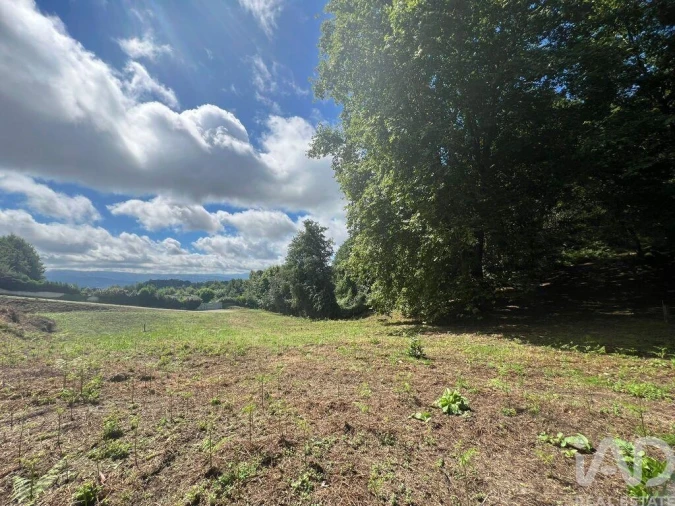 Terreno para Venda em Recezinhos (São Mamede) Foto 14