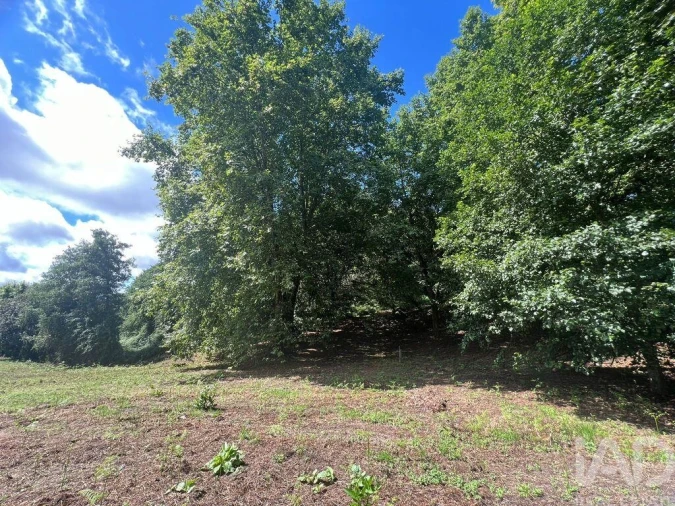 Terreno para Venda em Recezinhos (São Mamede) Foto 13