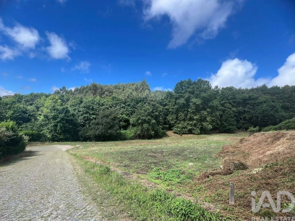 Terreno para Venda em Recezinhos (São Mamede) Foto 8
