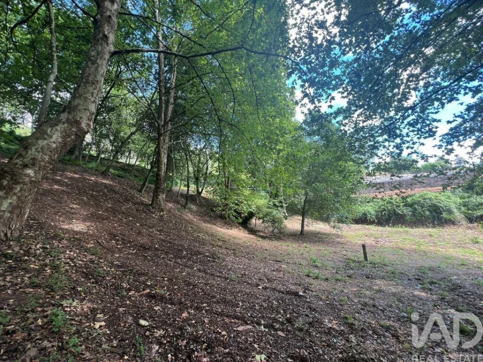 Terreno para Venda em Recezinhos (São Mamede) Foto 3