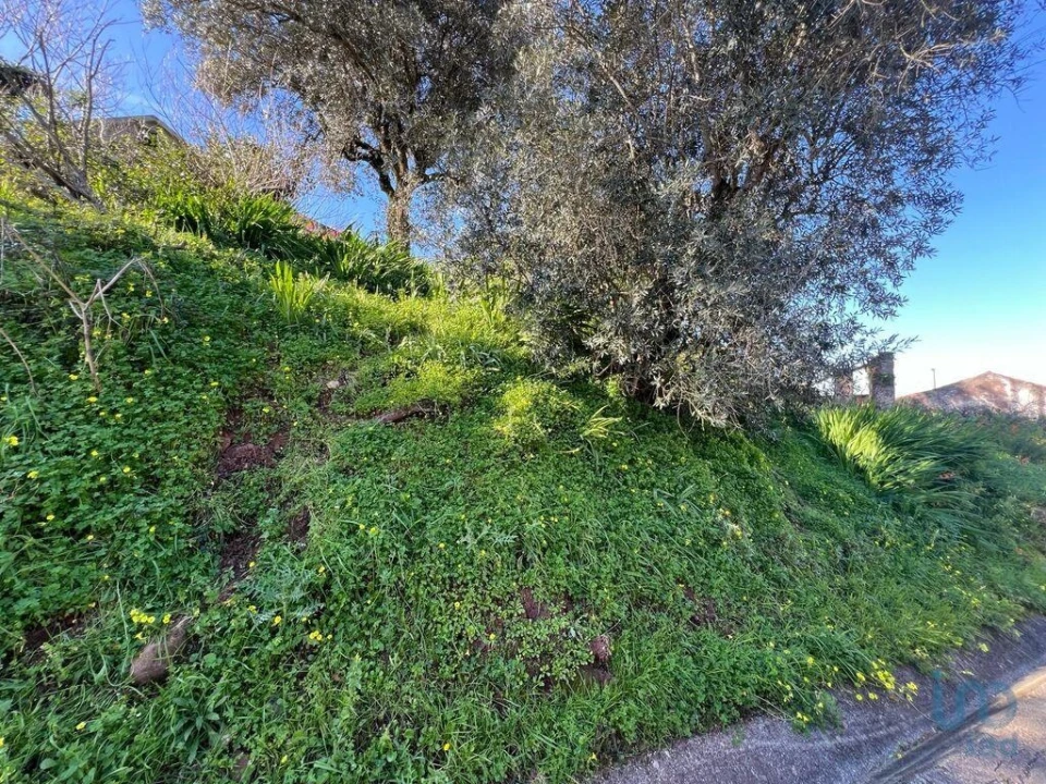 Moradia para Venda em Sé Nova, Santa Cruz, Almedina e São Bartolomeu Foto 8