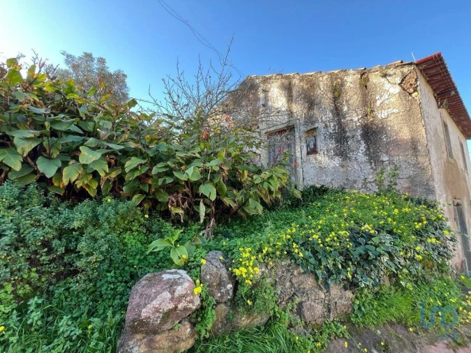 Moradia para Venda em Sé Nova, Santa Cruz, Almedina e São Bartolomeu Foto 7