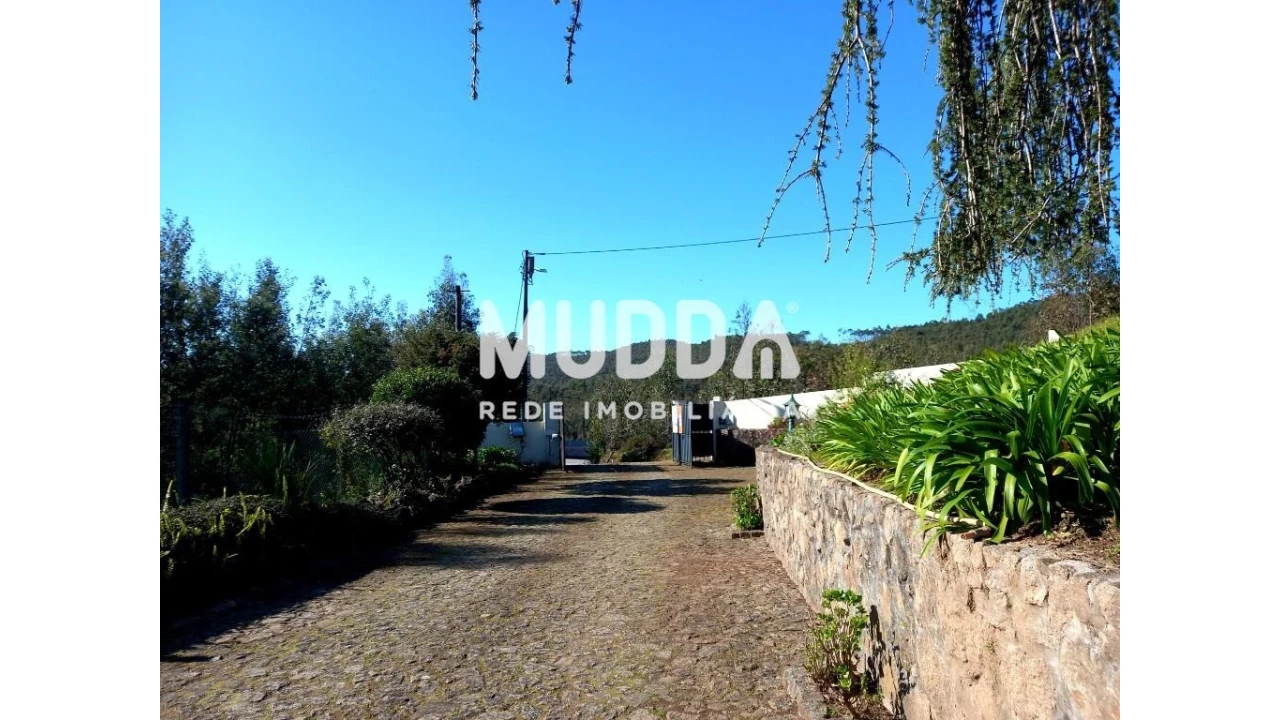 Moradia T4 para Venda em Ossela Foto 56