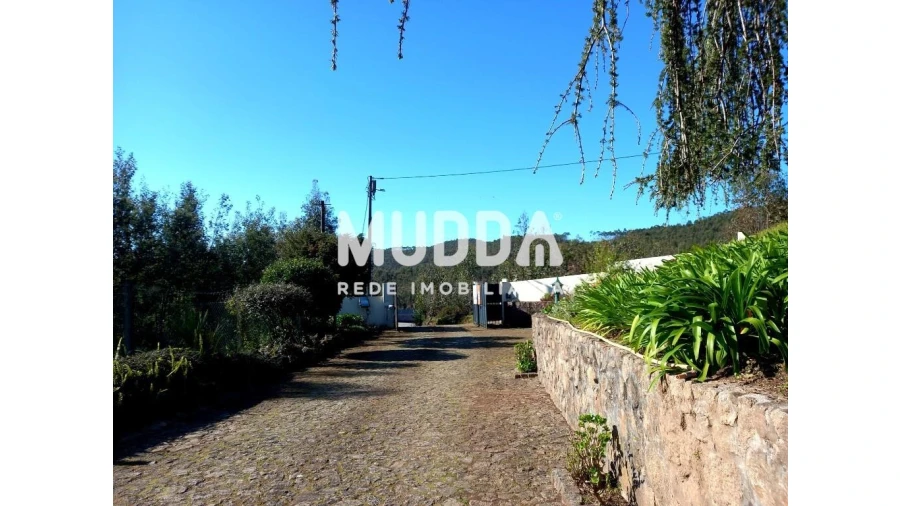 Moradia T4 para Venda em Ossela Foto 56