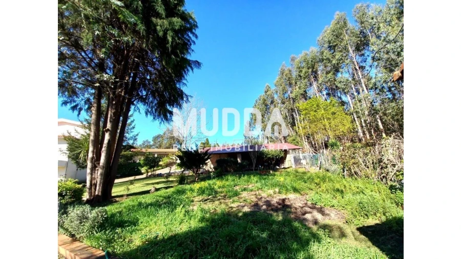 Moradia T4 para Venda em Ossela Foto 54