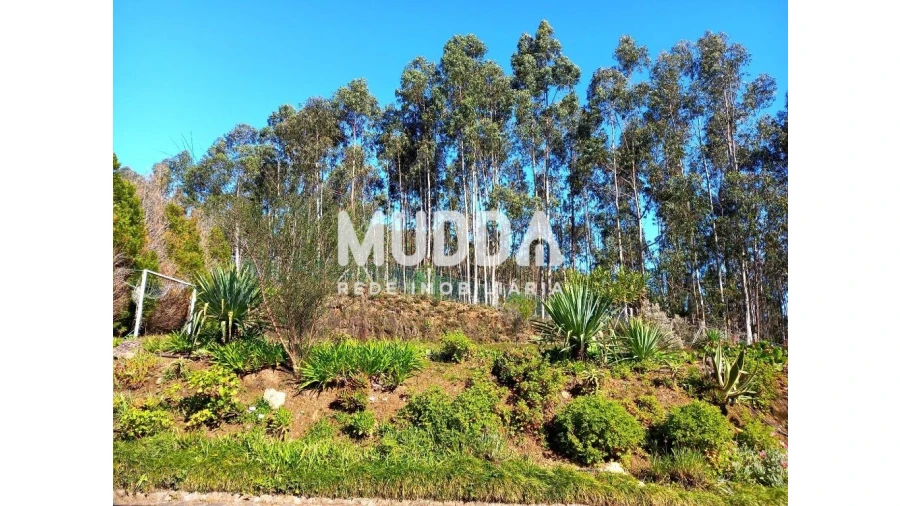 Moradia T4 para Venda em Ossela Foto 61