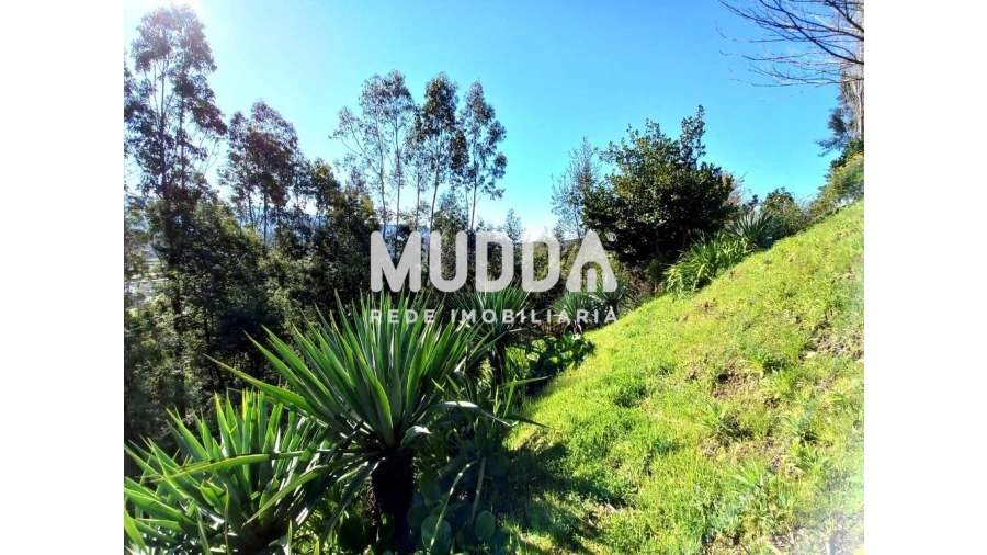 Moradia T4 para Venda em Ossela Foto 55