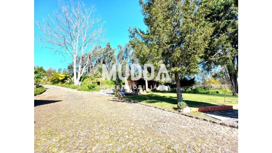 Moradia T4 para Venda em Ossela Foto 60