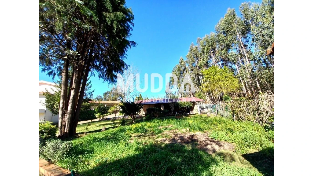 Moradia T4 para Venda em Ossela Foto 54