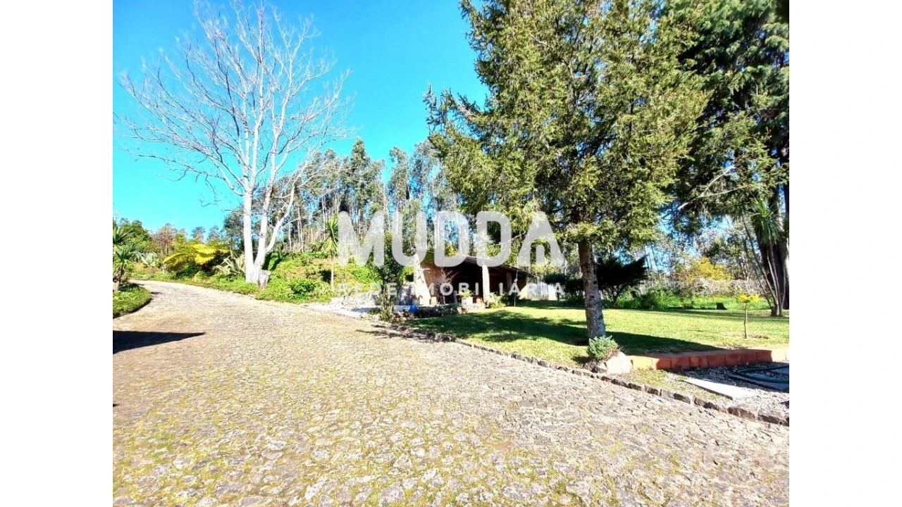 Moradia T4 para Venda em Ossela Foto 60