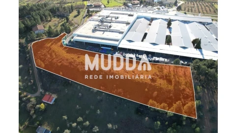 Terreno para Venda em Baçal