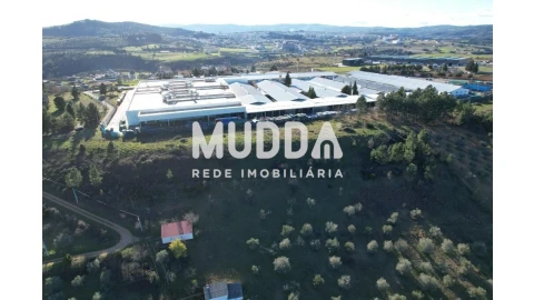 Terreno para Venda em Baçal