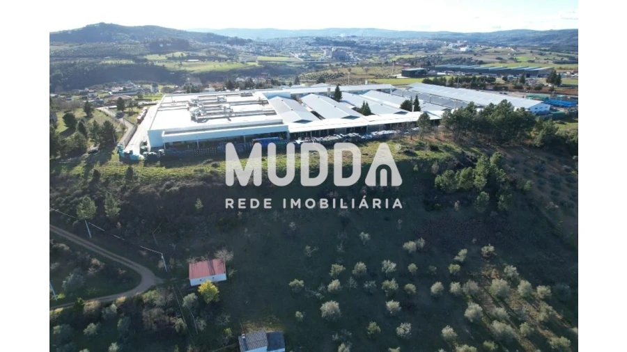 Terreno para Venda em Baçal Foto 9